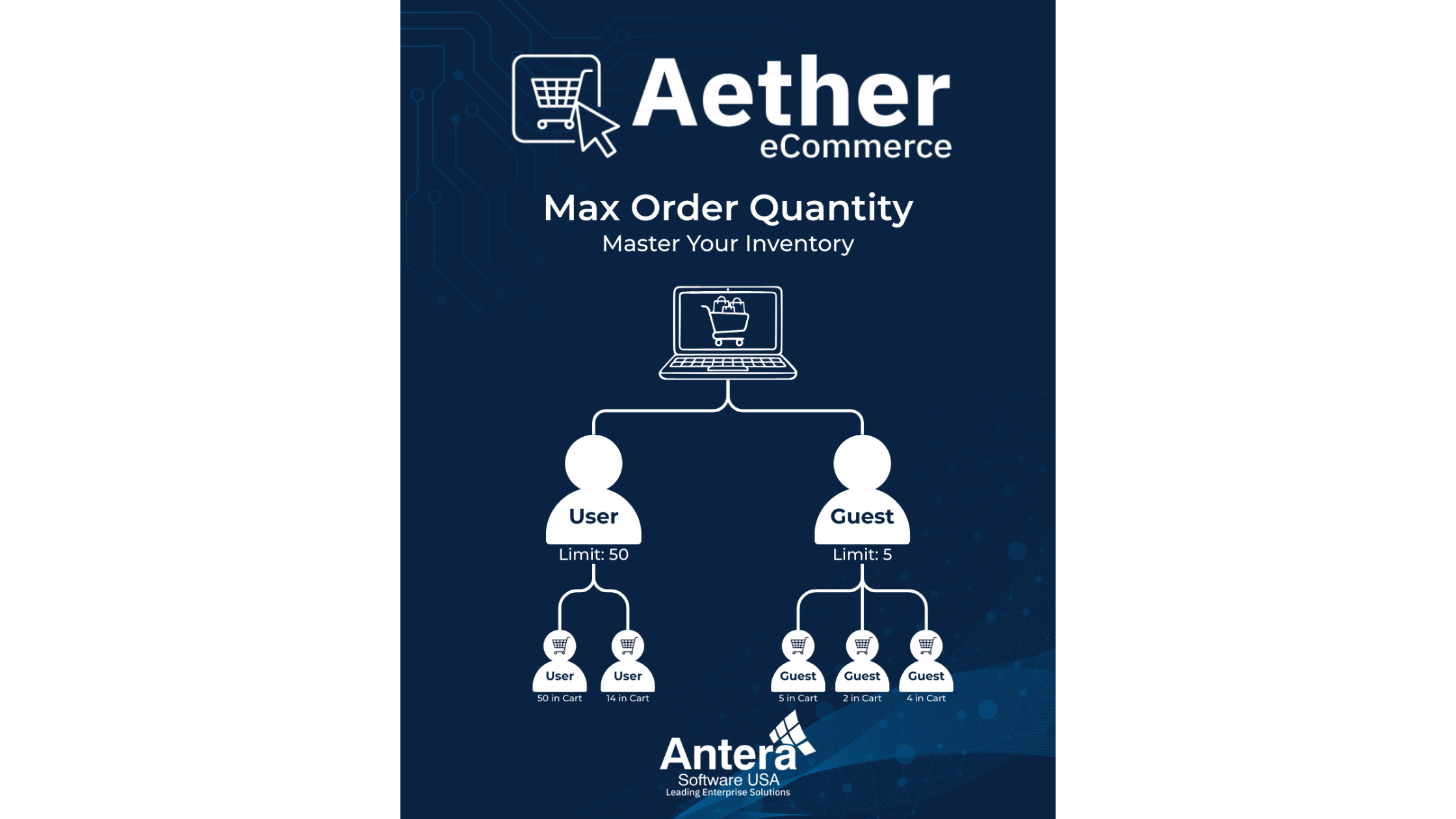 Product Spotlight: Aether eCommerce – Maximum Order Quantity Controls